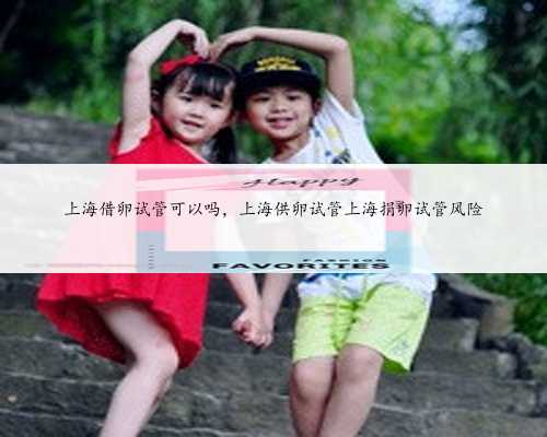 上海借卵试管可以吗，上海供卵试管上海捐卵试管风险