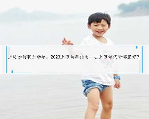 <b>上海如何联系助孕，2023上海助孕指南：去上海做试管哪里好？</b>