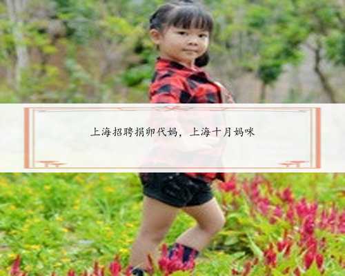 上海招聘捐卵代妈，上海十月妈咪