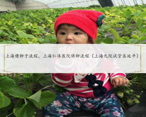 上海借卵子流程，上海仁济医院供卵流程（上海九院试管匡延平）