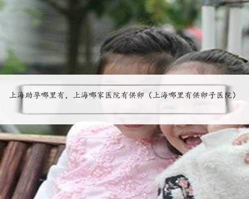 上海助孕哪里有，上海哪家医院有供卵（上海哪里有供卵子医院）