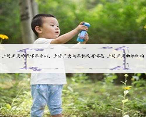 上海正规的代怀孕中心，上海三大助孕机构有哪些_上海正规助孕机构