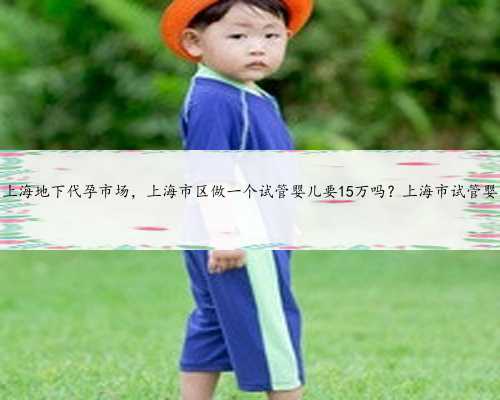 上海地下代孕市场，上海市区做一个试管婴儿要15万吗？上海市试管婴