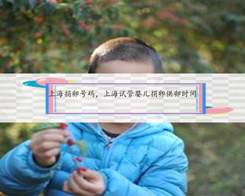 上海捐卵号码，上海试管婴儿捐卵供卵时间