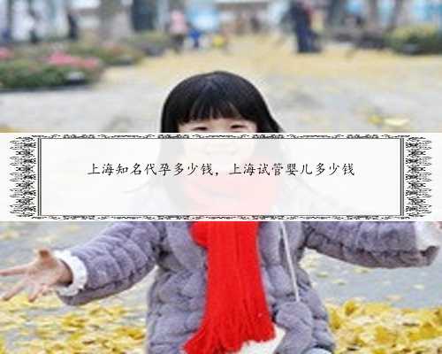 上海知名代孕多少钱，上海试管婴儿多少钱