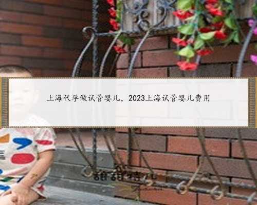 上海代孕做试管婴儿，2023上海试管婴儿费用