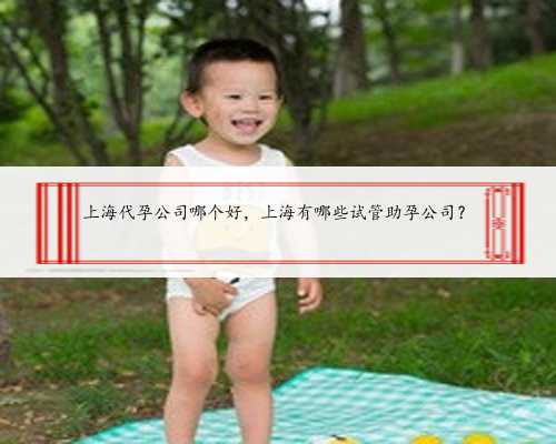 上海代孕公司哪个好，上海有哪些试管助孕公司？