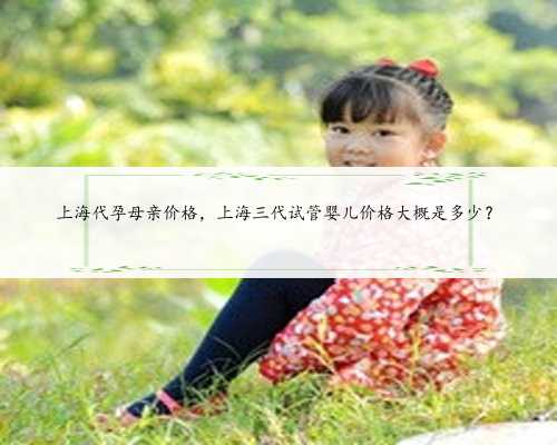 上海代孕母亲价格，上海三代试管婴儿价格大概是多少？