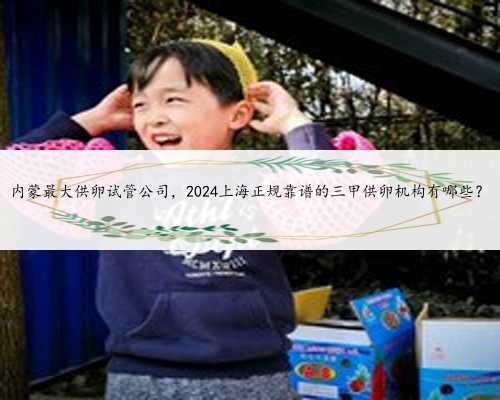 内蒙最大供卵试管公司，2024上海正规靠谱的三甲供卵机构有哪些？