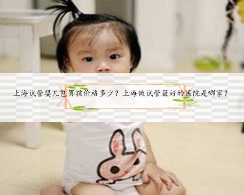 上海试管婴儿包男孩价格多少？上海做试管最好